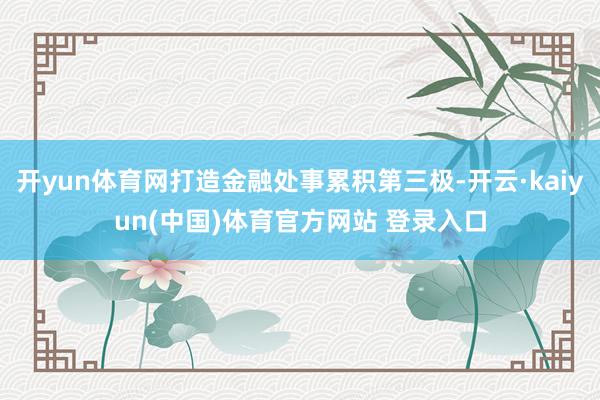 开yun体育网打造金融处事累积第三极-开云·kaiyun(中国)体育官方网站 登录入口