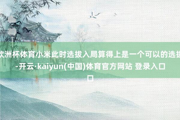 欧洲杯体育小米此时选拔入局算得上是一个可以的选拔-开云·kaiyun(中国)体育官方网站 登录入口