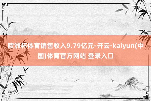 欧洲杯体育销售收入9.79亿元-开云·kaiyun(中国)体育官方网站 登录入口