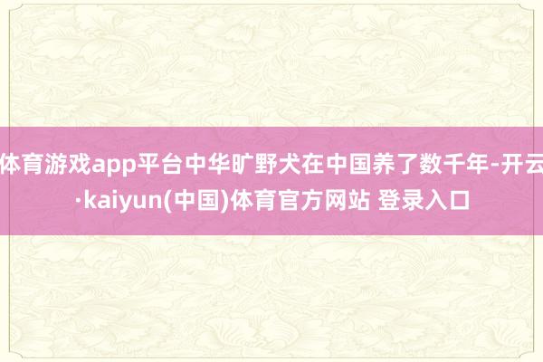 体育游戏app平台中华旷野犬在中国养了数千年-开云·kaiyun(中国)体育官方网站 登录入口