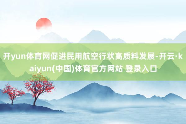 开yun体育网促进民用航空行状高质料发展-开云·kaiyun(中国)体育官方网站 登录入口