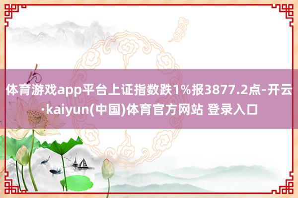 体育游戏app平台上证指数跌1%报3877.2点-开云·kaiyun(中国)体育官方网站 登录入口