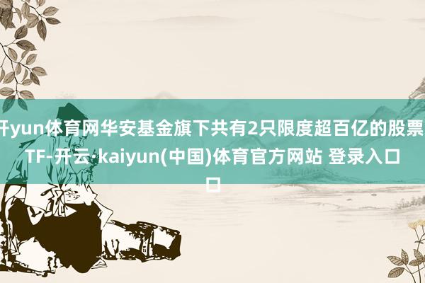 开yun体育网华安基金旗下共有2只限度超百亿的股票ETF-开云·kaiyun(中国)体育官方网站 登录入口