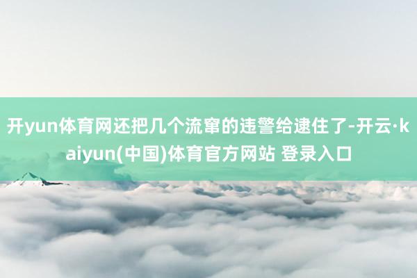 开yun体育网还把几个流窜的违警给逮住了-开云·kaiyun(中国)体育官方网站 登录入口